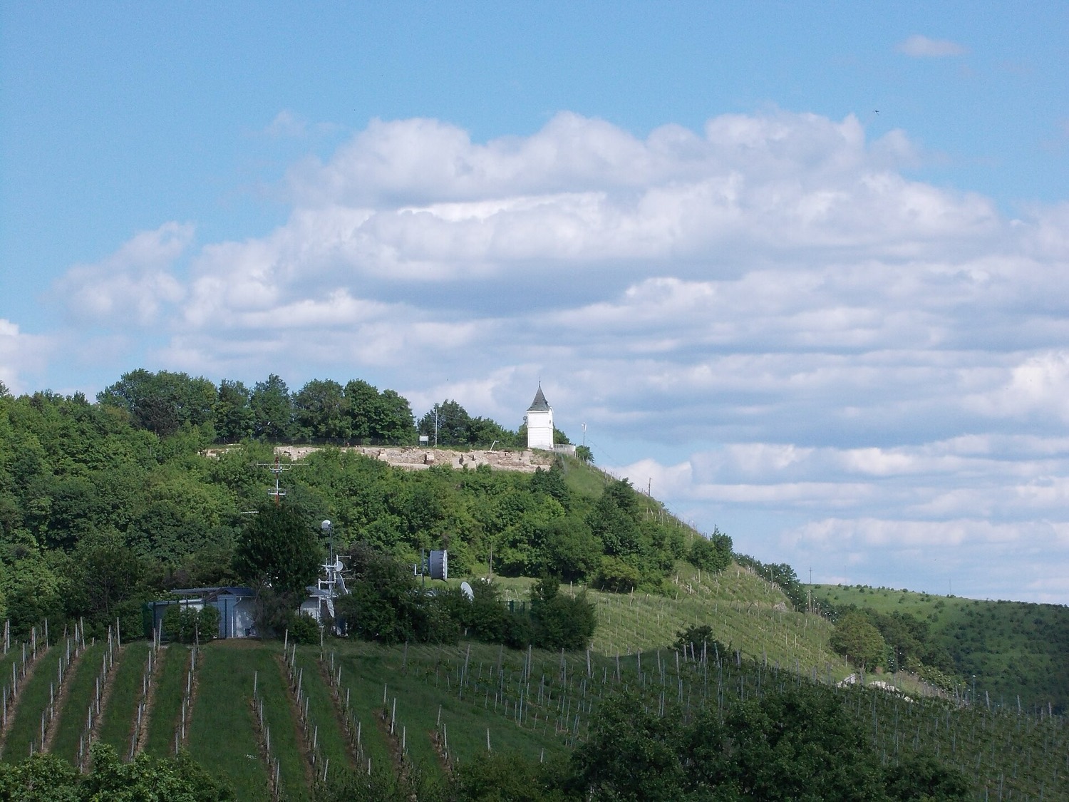Piramida hill above Maribor, vineyards on the slopes and a small white chapel at the top